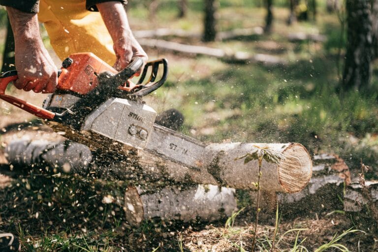 Chainsaw - Patreon